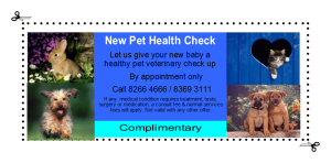 New Pet Check Voucher