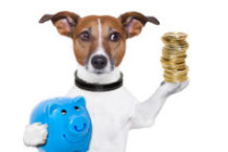 http://www.dreamstime.com/royalty-free-stock-images-money-saving-dog-image29293559